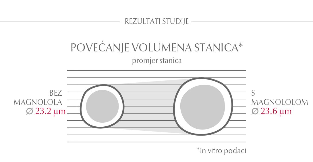 Magnolol povećava volumen stanica