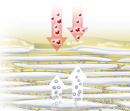 Prikaz prirodnih čimbenika zadržavanja vlage koji isparavaju kroz kožu