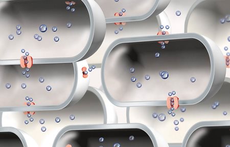 Prikaz ograničenog broja akvaporina.